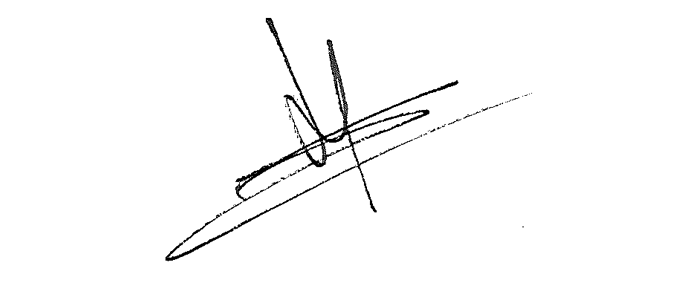 Signature Nico